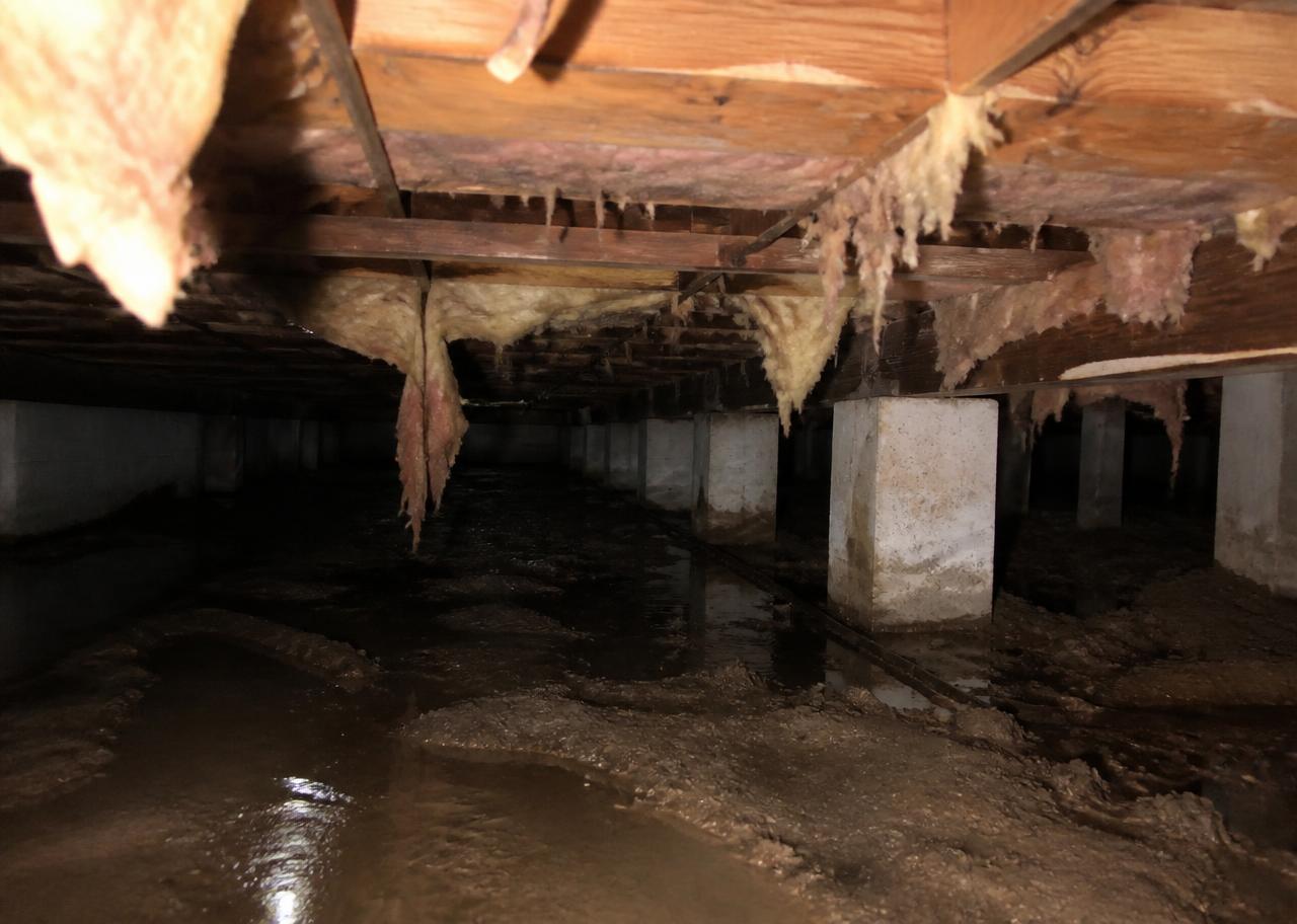 Untreated crawl space with wet exposed soil, standing water and sagging insulation
